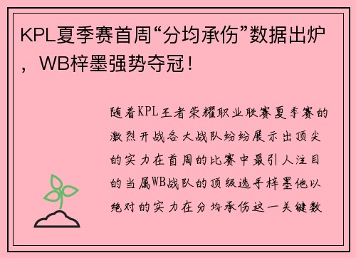 KPL夏季赛首周“分均承伤”数据出炉，WB梓墨强势夺冠！